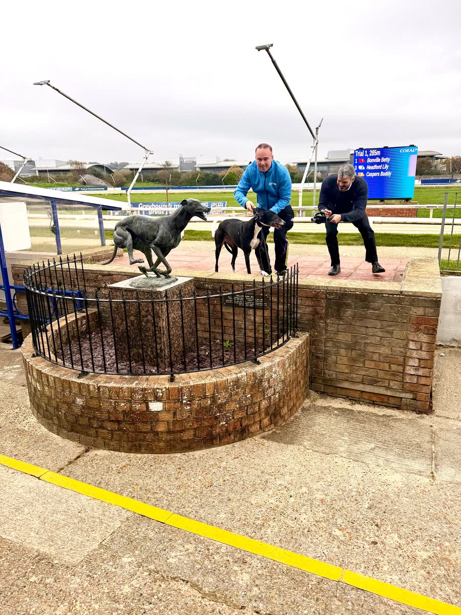 Filming a retired greyhound at the Brighton and Hove stadium